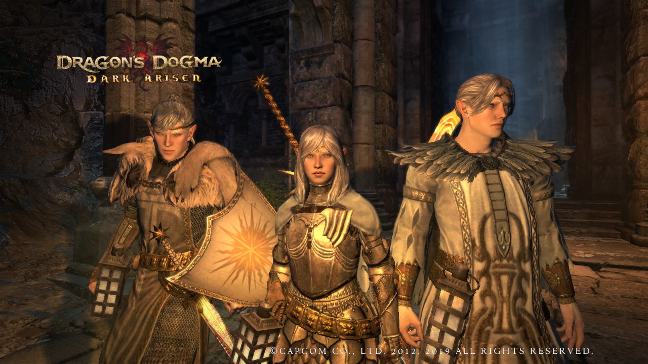 Dragons Dogma Team.jpg