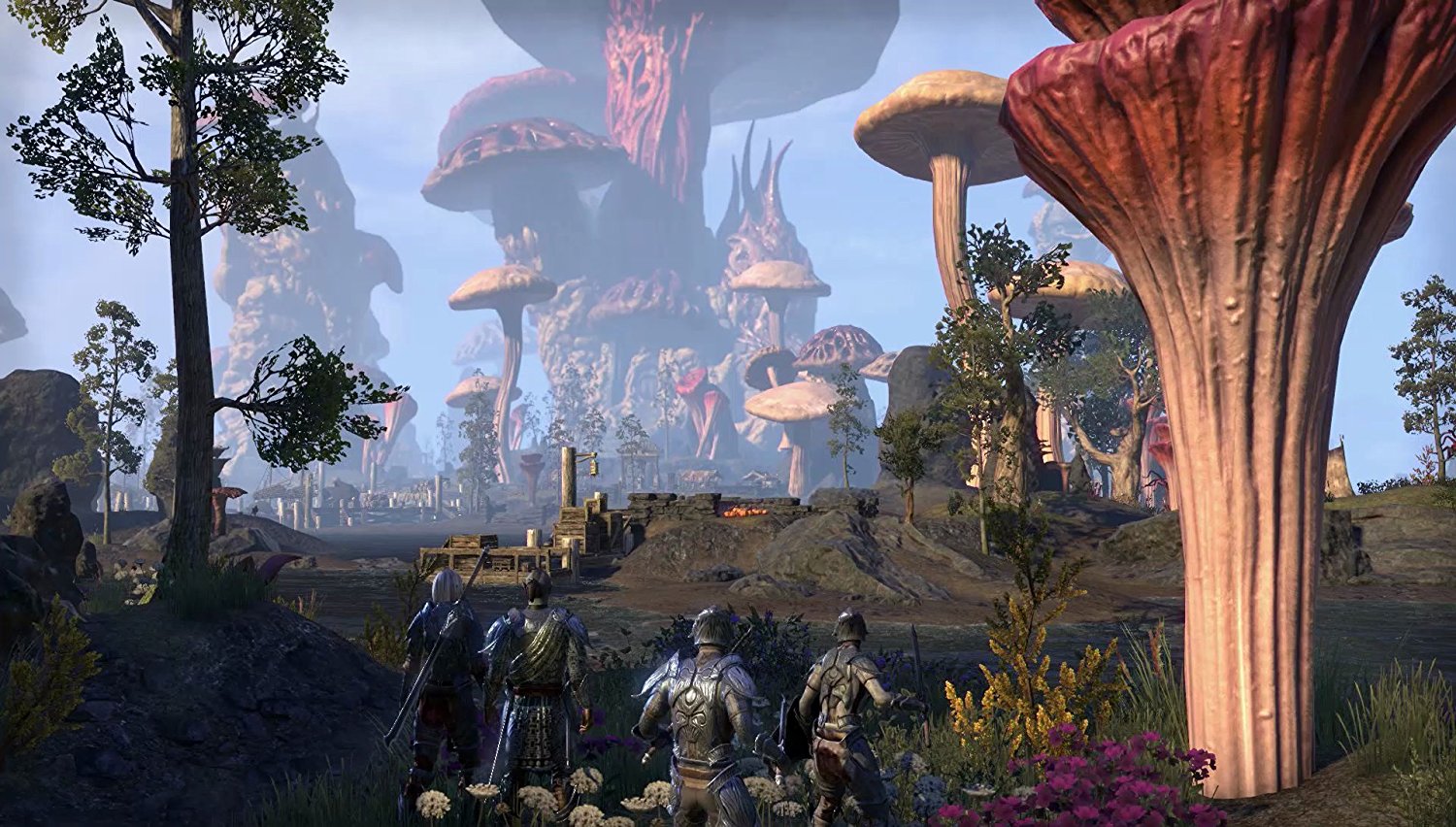 ESO-Morrowind-Screenshot-04.jpg