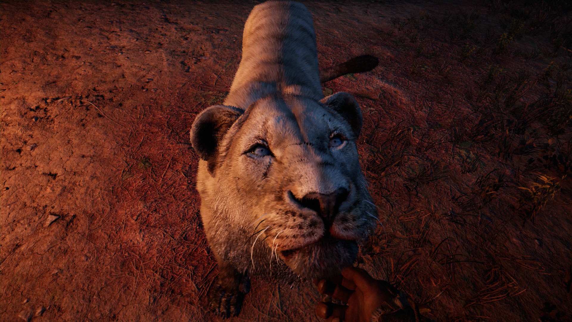 Far Cry® Primal2019-2-13-7-0-0.jpg