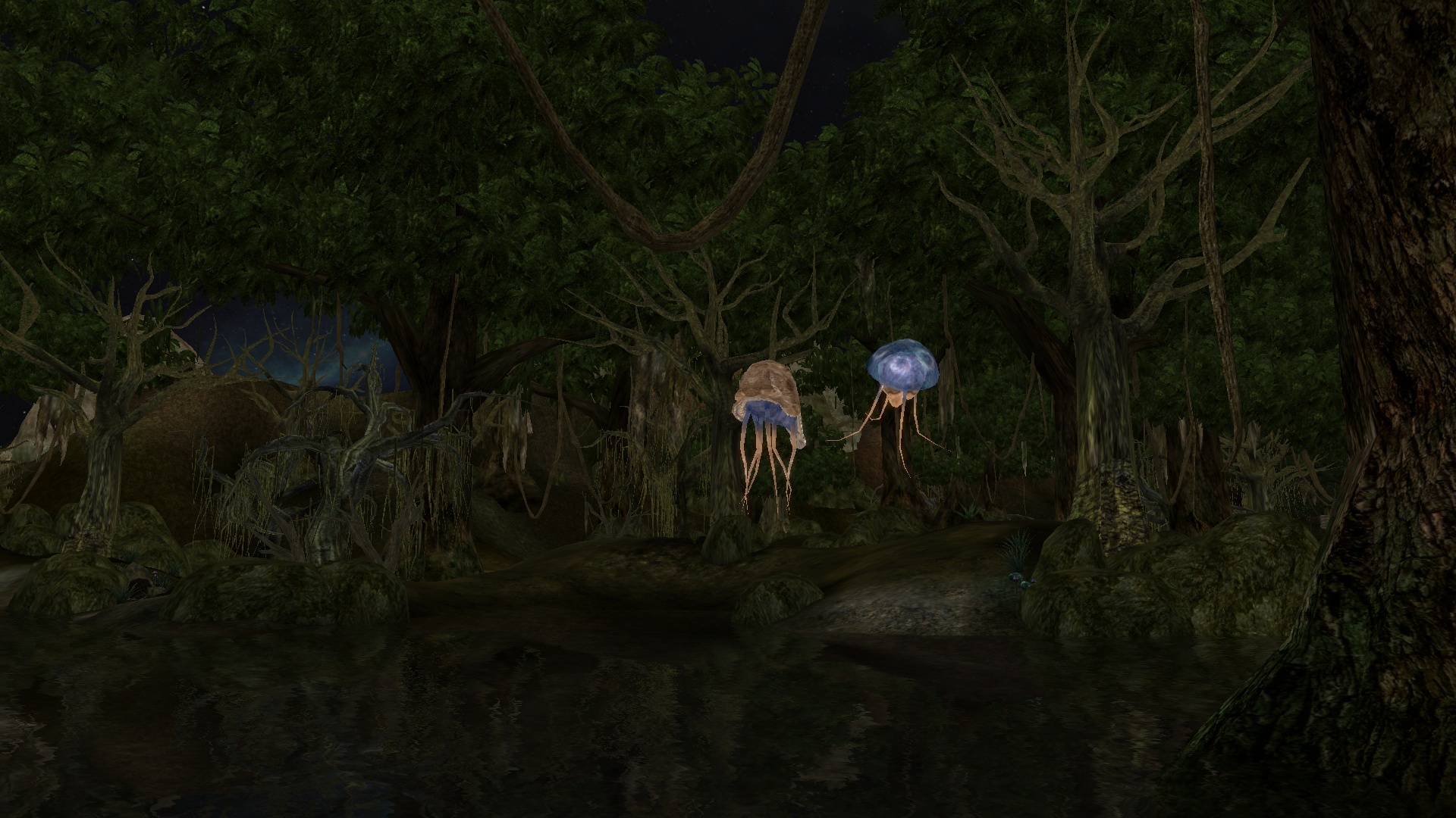 Morrowind_Agis_Natur.jpg