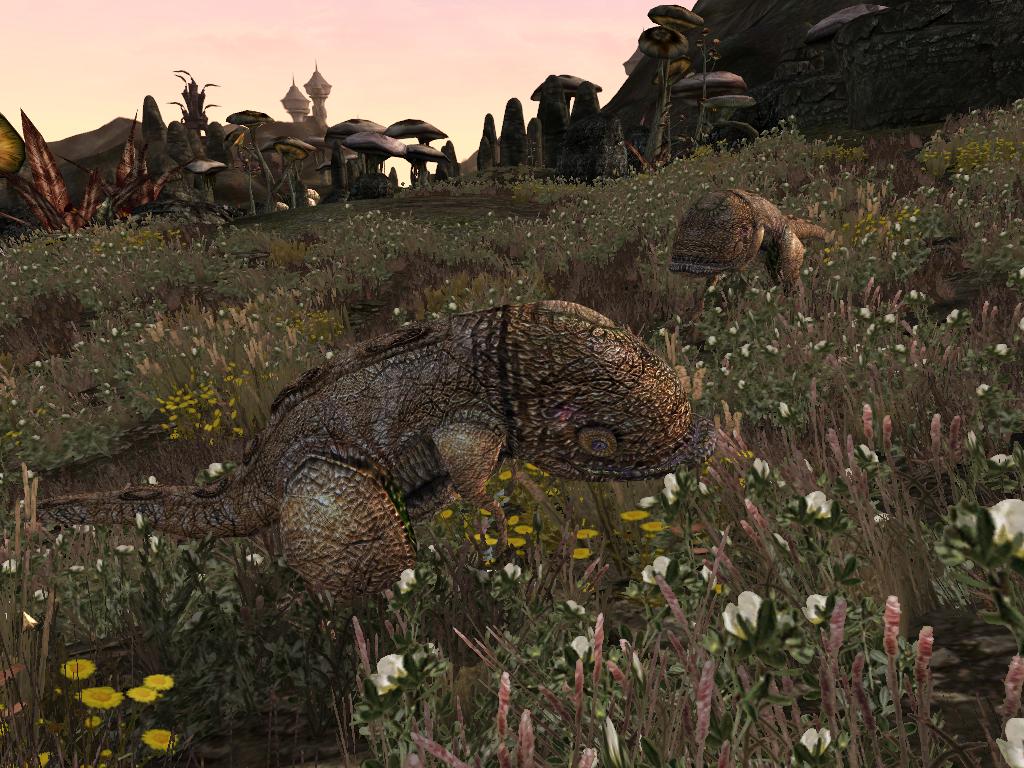 ssc2015_mw_fauna_02.jpg