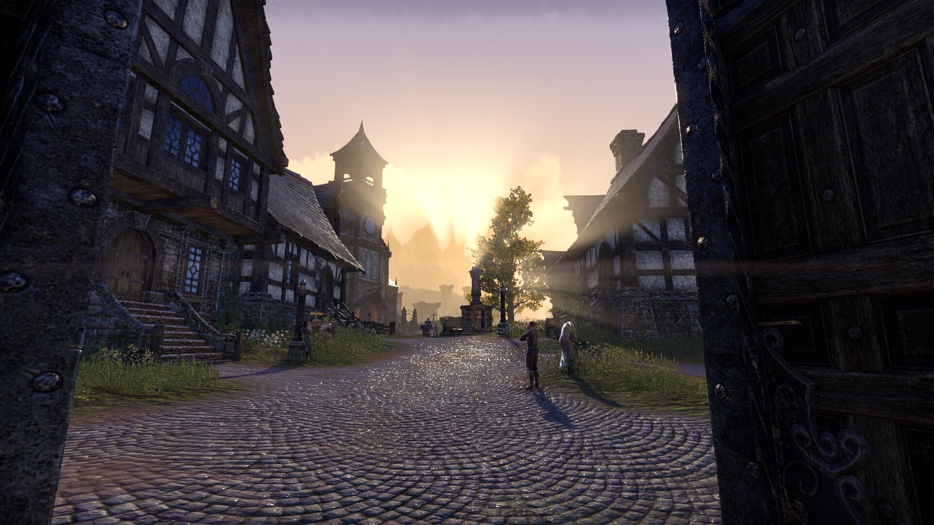 The Elder Scrolls Online_ Tamriel Unlimited (22).jpg