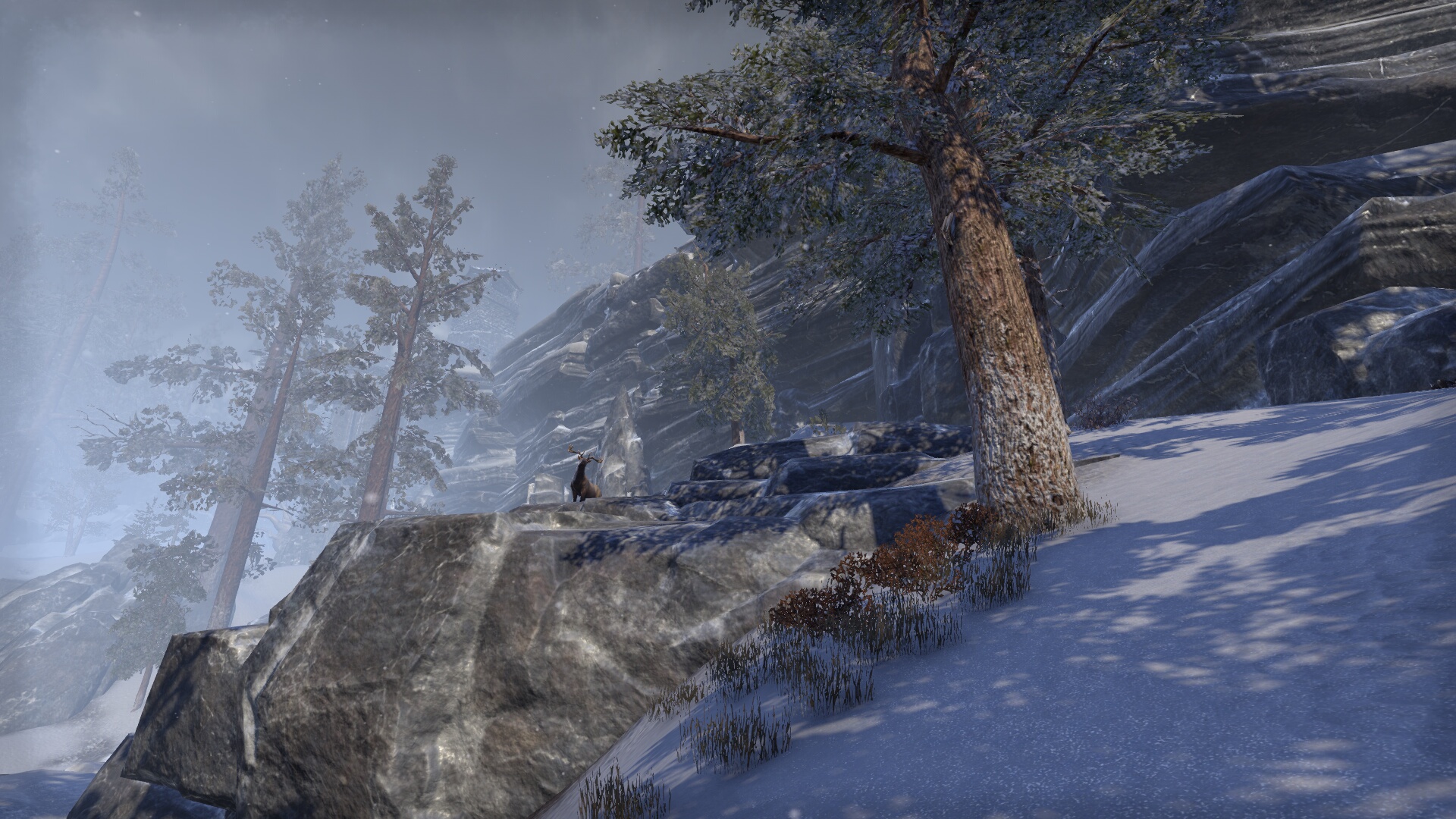 The Elder Scrolls Online_ Tamriel Unlimited (9).jpg