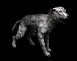 Wolfhound250.jpg