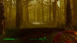 Fallout4 2017-10-19 23-34-44.jpg