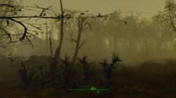 Fallout4 2017-10-20 00-18-16.jpg