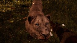 Far Cry Primal2018-4-17-19-40-19.jpg