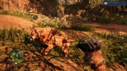 Far Cry Primal2018-4-17-22-21-38.jpg