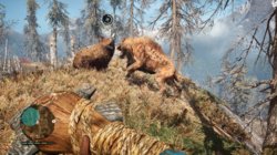 Far Cry Primal2018-4-19-16-42-28.jpg