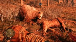 Far Cry Primal2018-4-19-16-17-32.jpg