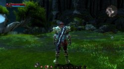 neu_Kingdoms of Amalur_ Reckoning 6.jpg