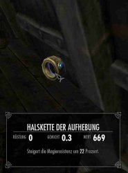 Halkette_der_Aufhebung_3.jpg