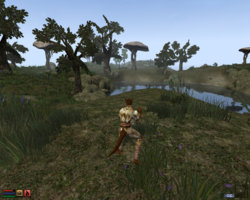 screenshot008.jpg