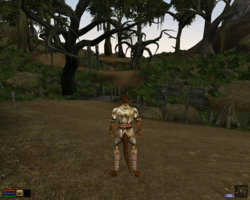 screenshot004.jpg