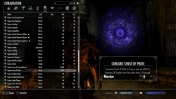 SkyrimSE-2019-03-04-07-30-17-020.jpg