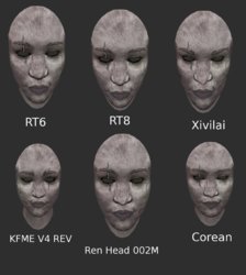 Classic head variations.jpg