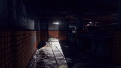 Soft Light ENB - interior 1.jpg