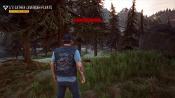 DaysGone-2021-06-20-15-46-02-178.jpg