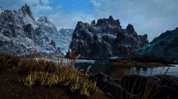 SkyrimSE-2021-07-18-13-48-51-804.jpg