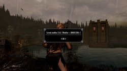 SkyrimSE-2021-09-30-16-18-42-514.jpg