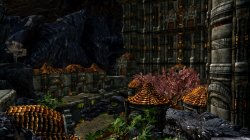 SkyrimSE-2021-11-07-19-36-36-060.jpg