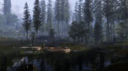 Skyrim_Natur_1.jpg