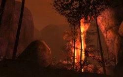 Sacnoth-Tal, der brennende Wald.jpg