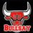 Bullsay