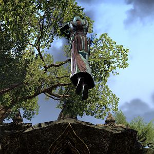 Neulich in Tamriel