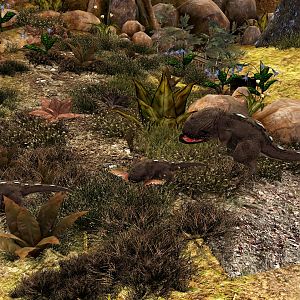 Morrowind_03_Tierwelt.jpg