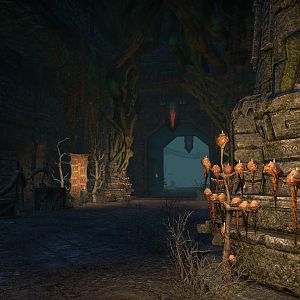 Elder Scrolls  Online Screenshot 2020.09.12 - 17.12.57.47