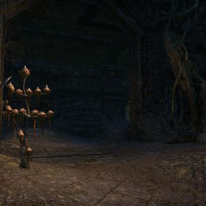 Elder Scrolls  Online Screenshot 2020.09.12 - 16.47.05.81