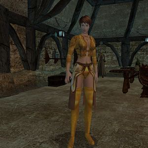 Morrowind, Elyza, Charakter
