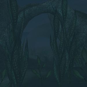 Morrowind_Natur