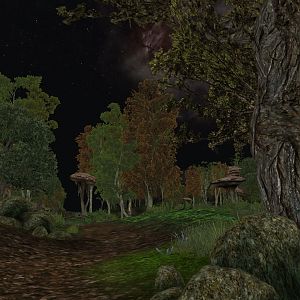 Morrowind_Natur