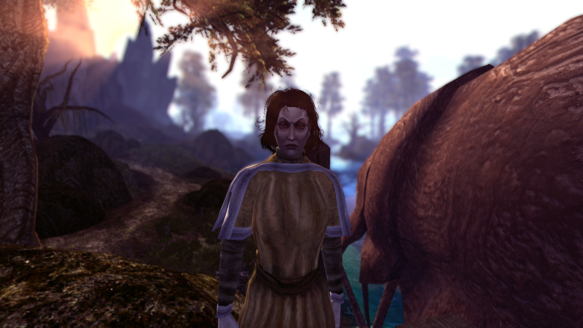 Morrowind Darvame Hleran