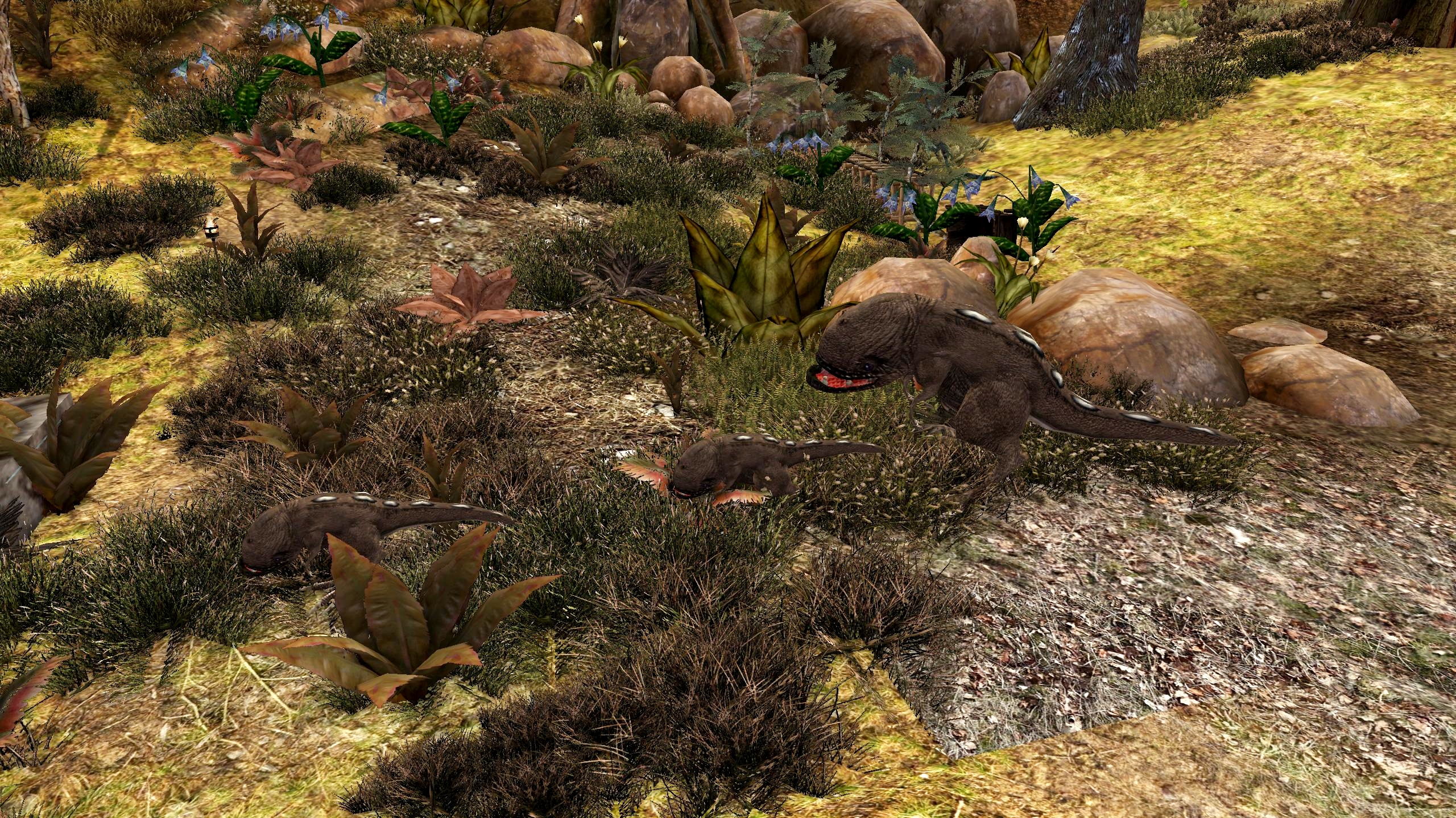 Morrowind_03_Tierwelt.jpg