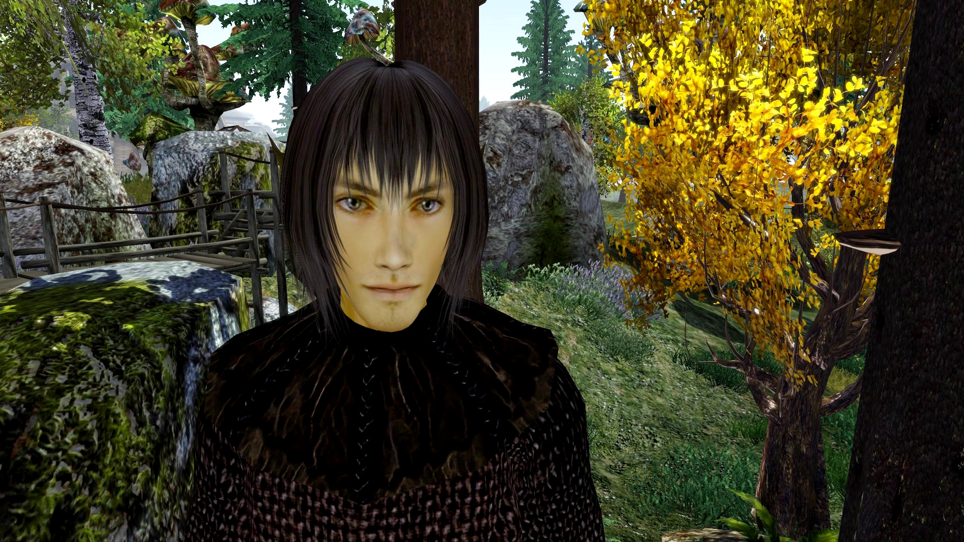 Morrowind_Miranthas_Portrait.jpg