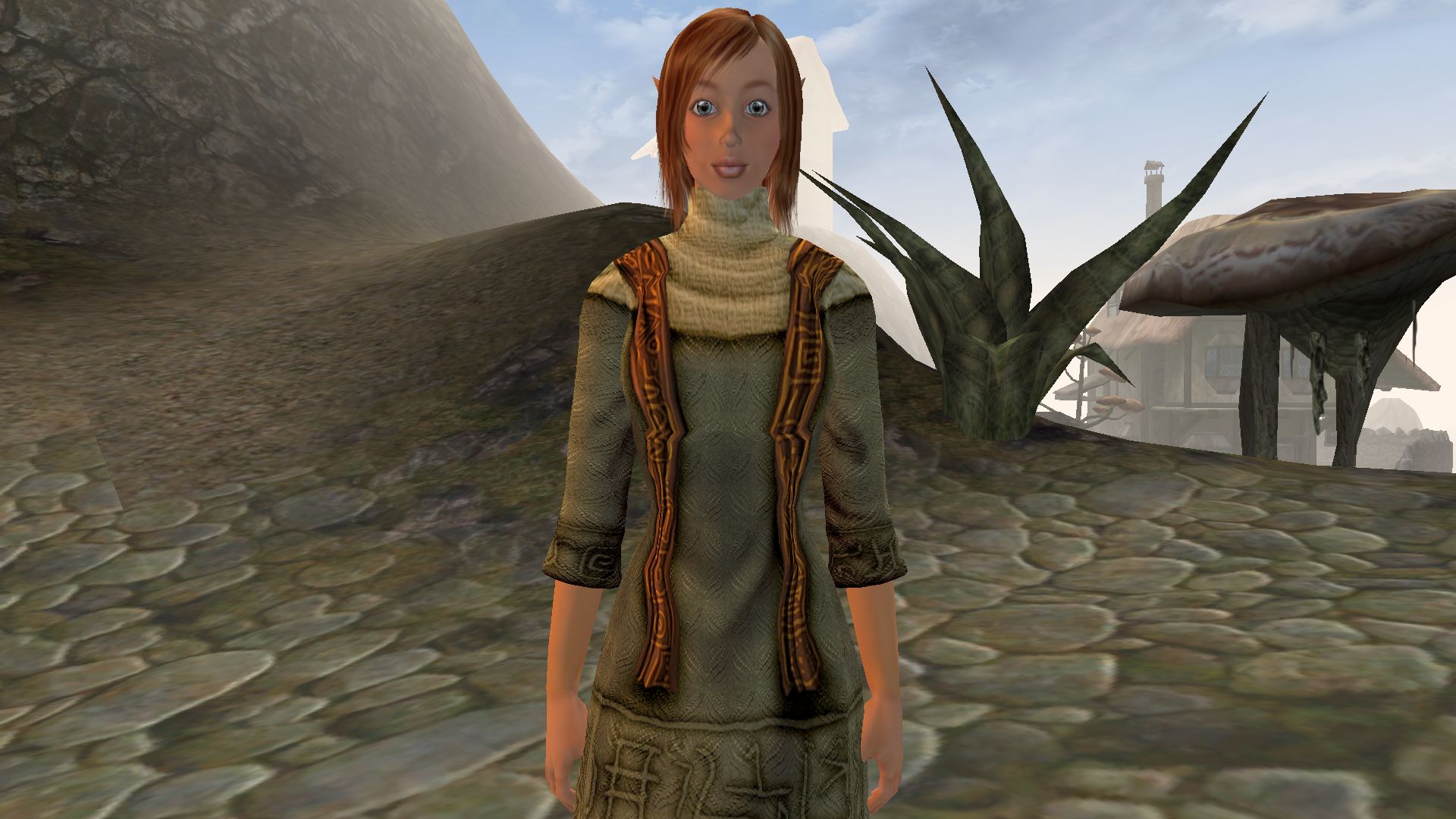 Morrowind_Portrait_2