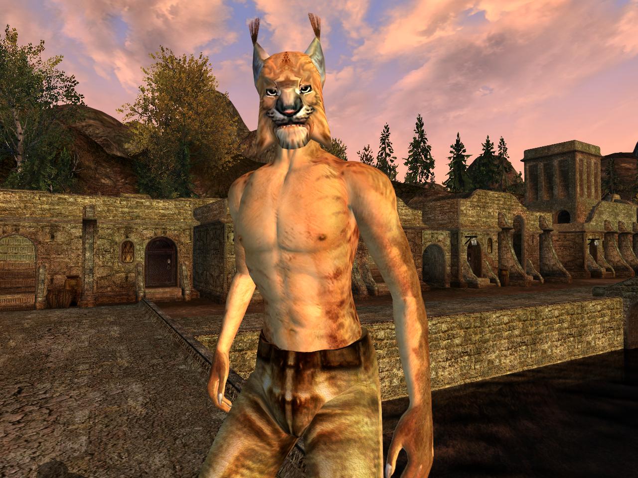 Morrowind_Portrait_5