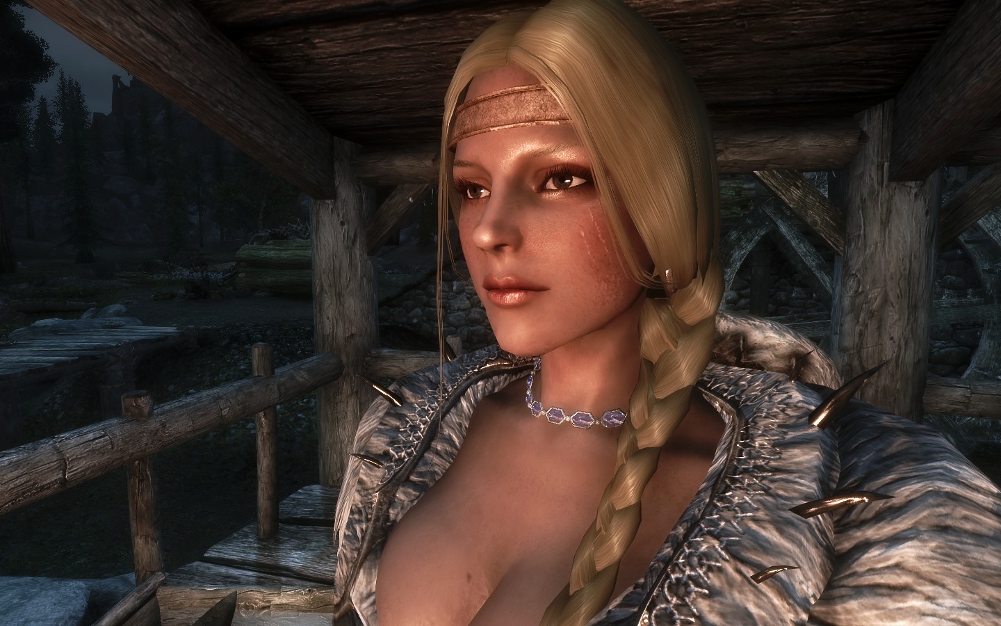 Skyrim-Veterano-Portrait