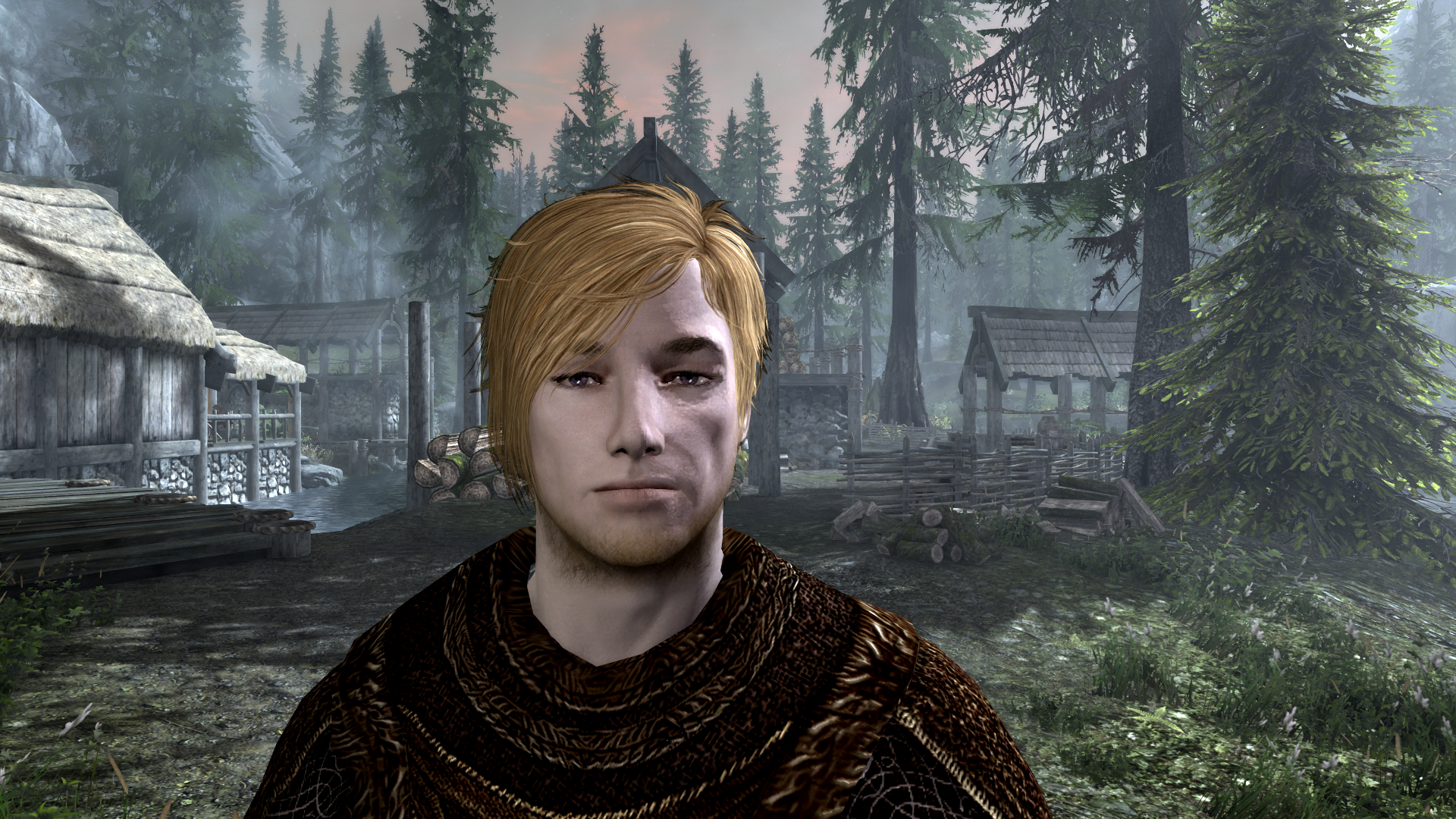 Skyrim_Donar_Portrait_