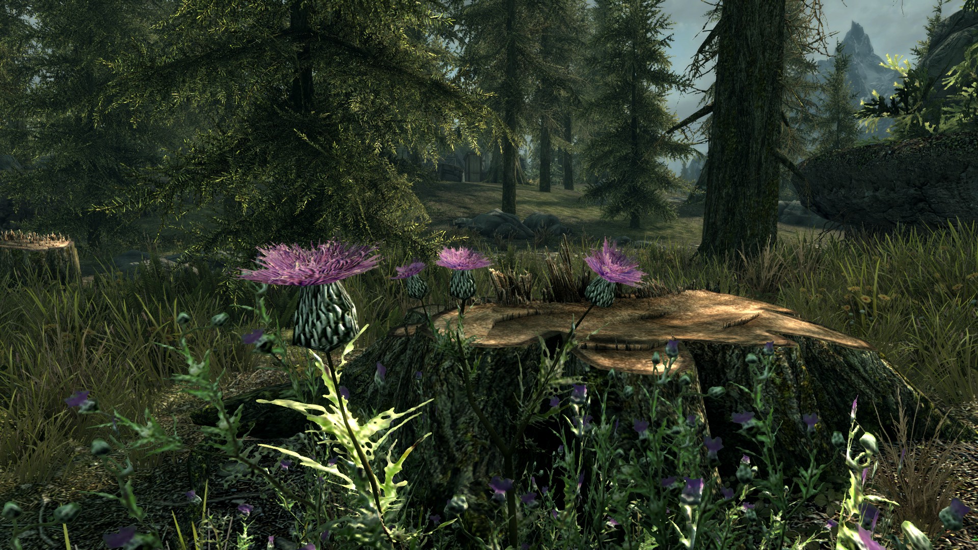 Skyrim_Landschaft