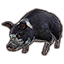 ESO Icon pet 047.png