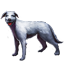 ESO Icon pet 009.png