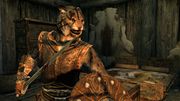 Vorschaubild für Datei:Khajiit Skyrim QuakeCon GI.jpg