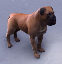 ESO Hellbrauner Morthal-Mastiff.jpg