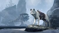 ESO Eiswolf Promo.jpg