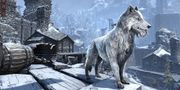 Vorschaubild für Datei:ESO Frostfluch-Wolf Promo.jpg