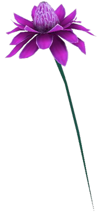 Vorschaubild für Datei:Mana-Blüte lila.png
